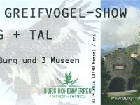 Hohenwerfen Castle and Falconry Show Ticket